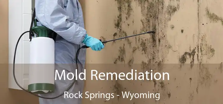 Mold Remediation Rock Springs - Wyoming
