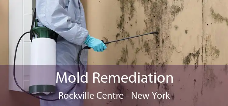 Mold Remediation Rockville Centre - New York