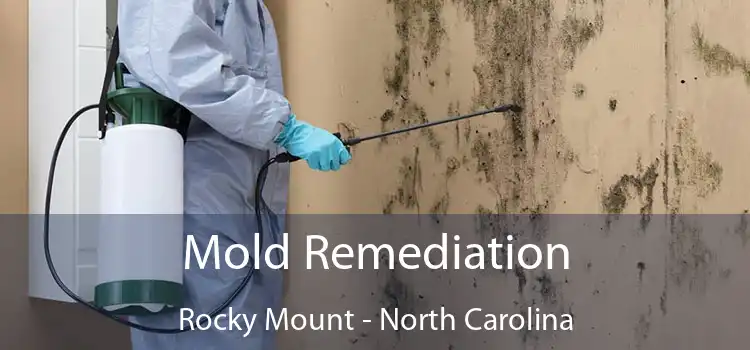 Mold Remediation Rocky Mount - North Carolina