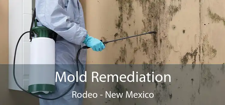 Mold Remediation Rodeo - New Mexico