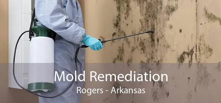 Mold Remediation Rogers - Arkansas