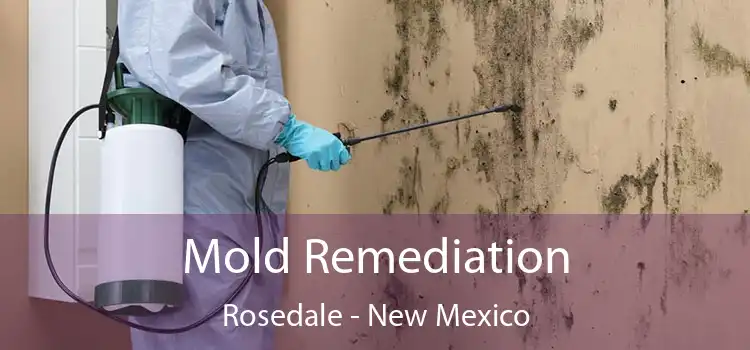 Mold Remediation Rosedale - New Mexico