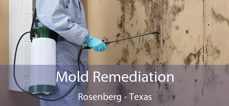 Mold Remediation Rosenberg - Texas