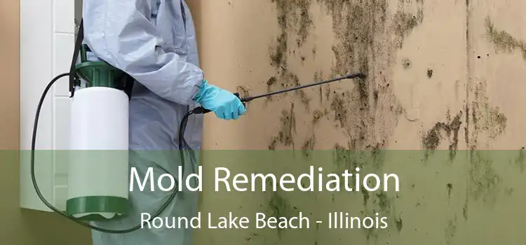 Mold Remediation Round Lake Beach - Illinois