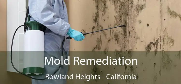 Mold Remediation Rowland Heights - California