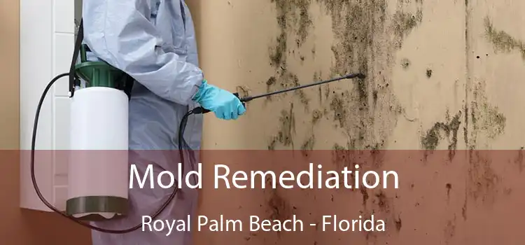 Mold Remediation Royal Palm Beach - Florida