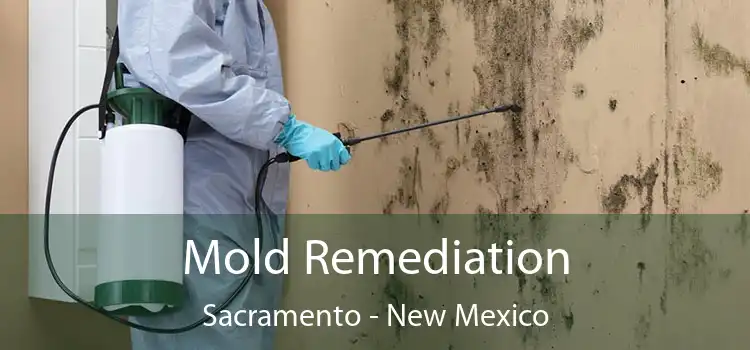 Mold Remediation Sacramento - New Mexico