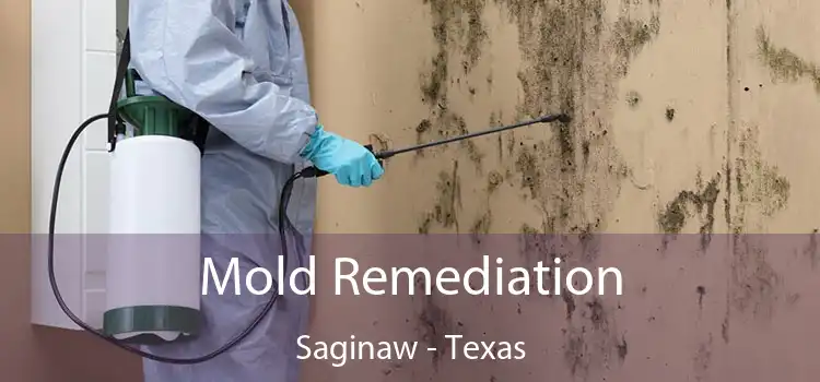 Mold Remediation Saginaw - Texas