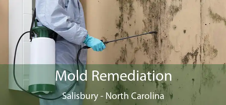 Mold Remediation Salisbury - North Carolina