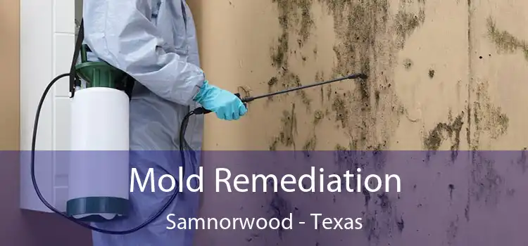 Mold Remediation Samnorwood - Texas