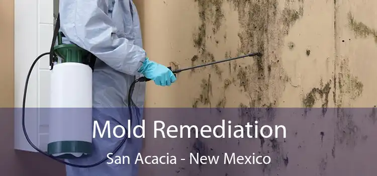 Mold Remediation San Acacia - New Mexico