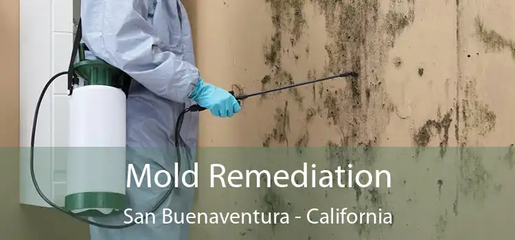 Mold Remediation San Buenaventura - California
