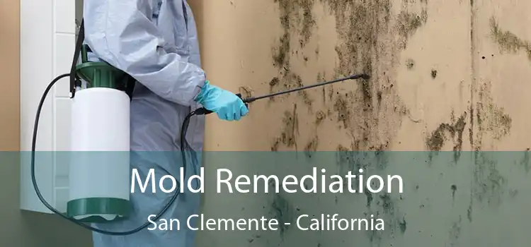 Mold Remediation San Clemente - California