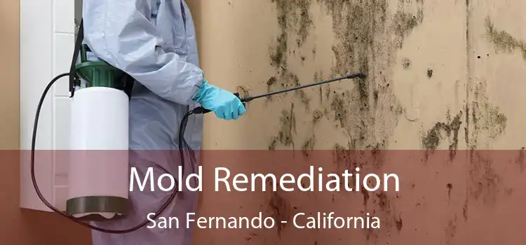 Mold Remediation San Fernando - California