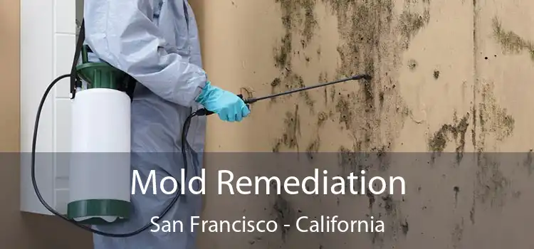 Mold Remediation San Francisco - California