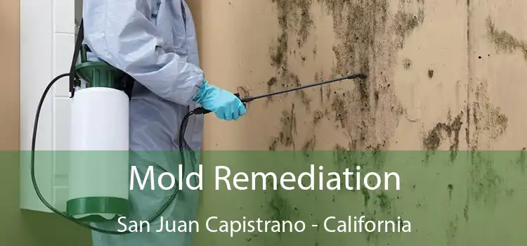 Mold Remediation San Juan Capistrano - California