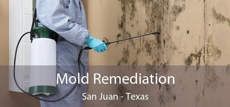 Mold Remediation San Juan - Texas