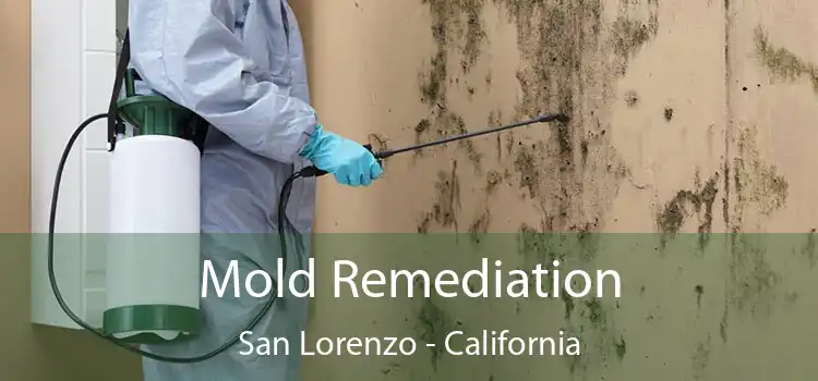 Mold Remediation San Lorenzo - California