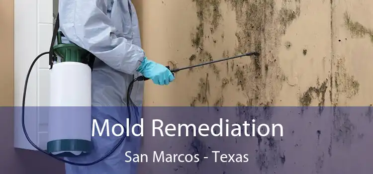 Mold Remediation San Marcos - Texas