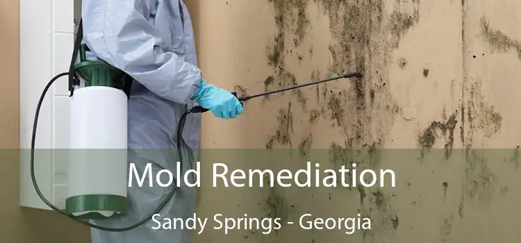 Mold Remediation Sandy Springs - Georgia