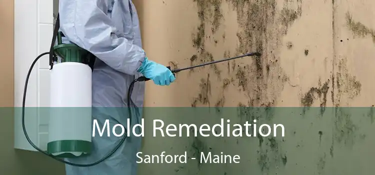 Mold Remediation Sanford - Maine