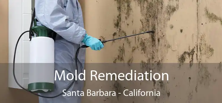 Mold Remediation Santa Barbara - California