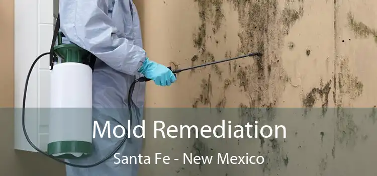 Mold Remediation Santa Fe - New Mexico