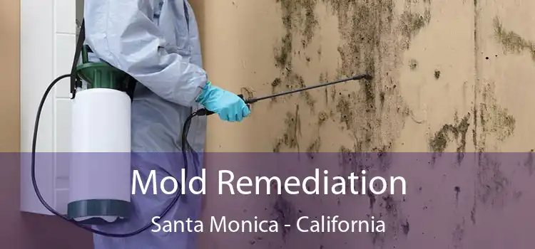 Mold Remediation Santa Monica - California