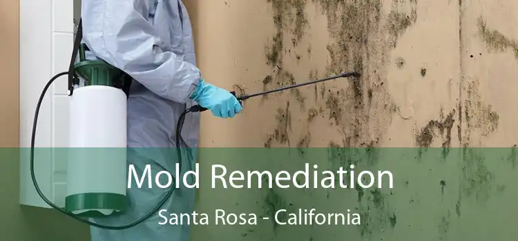 Mold Remediation Santa Rosa - California