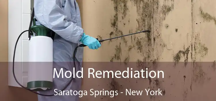 Mold Remediation Saratoga Springs - New York