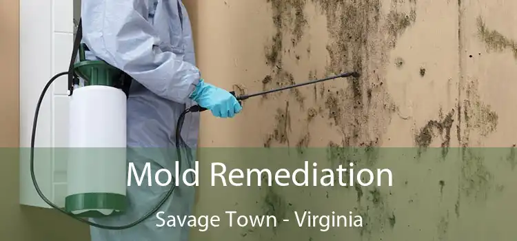 Mold Remediation Savage Town - Virginia