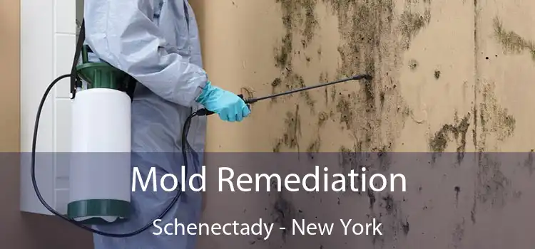 Mold Remediation Schenectady - New York