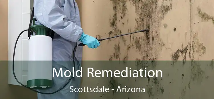 Mold Remediation Scottsdale - Arizona