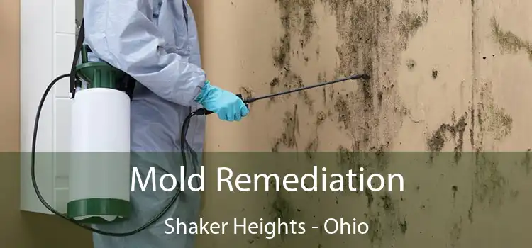 Mold Remediation Shaker Heights - Ohio