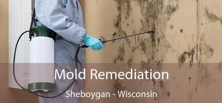 Mold Remediation Sheboygan - Wisconsin