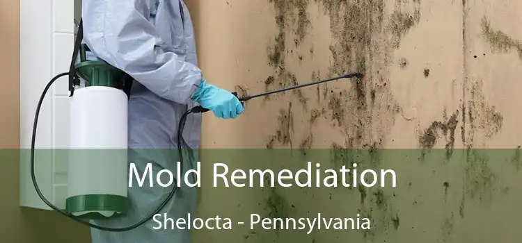 Mold Remediation Shelocta - Pennsylvania