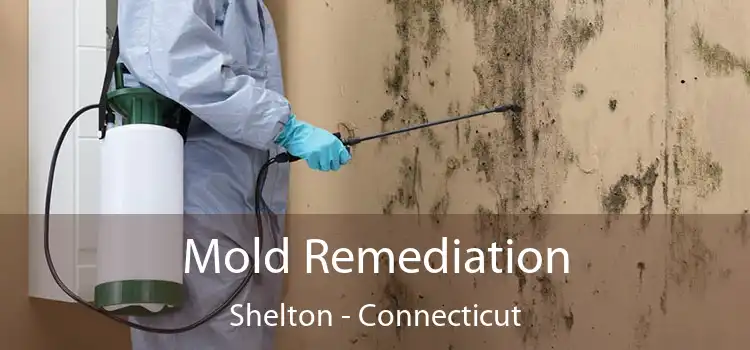 Mold Remediation Shelton - Connecticut