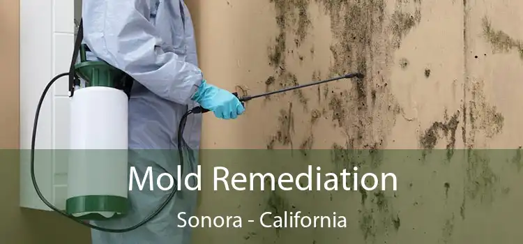 Mold Remediation Sonora - California