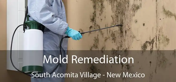 Mold Remediation South Acomita Village - New Mexico