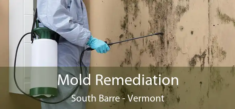 Mold Remediation South Barre - Vermont