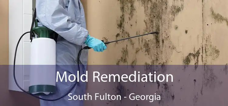 Mold Remediation South Fulton - Georgia