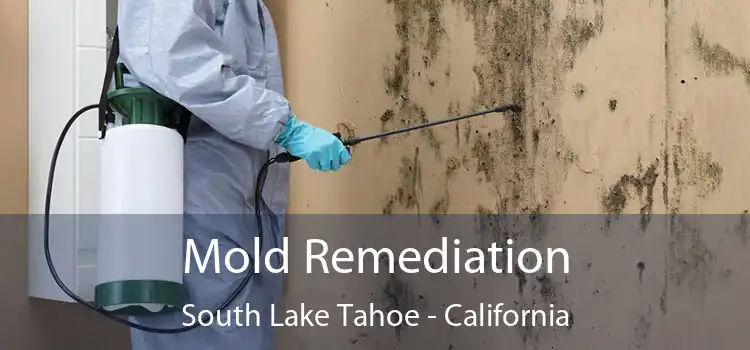 Mold Remediation South Lake Tahoe - California