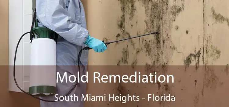 Mold Remediation South Miami Heights - Florida