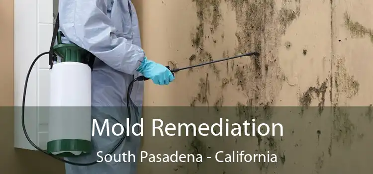 Mold Remediation South Pasadena - California