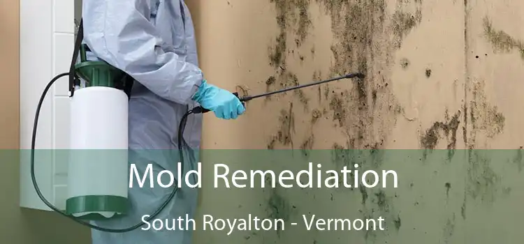 Mold Remediation South Royalton - Vermont