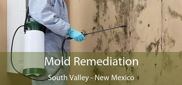 Mold Remediation South Valley - New Mexico