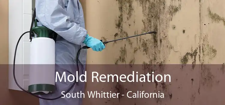 Mold Remediation South Whittier - California