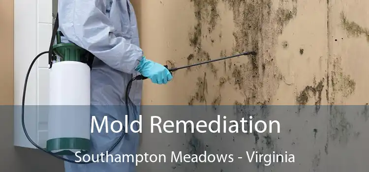 Mold Remediation Southampton Meadows - Virginia