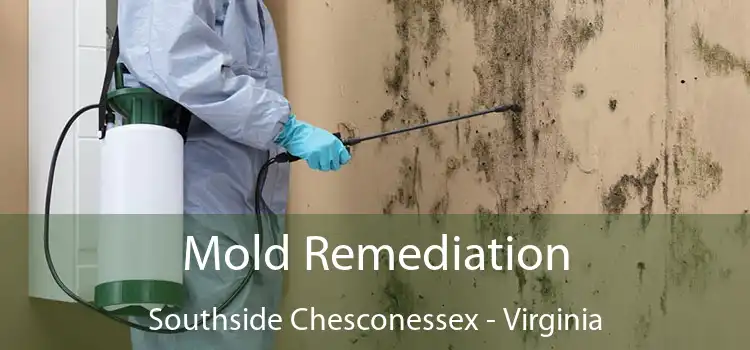 Mold Remediation Southside Chesconessex - Virginia