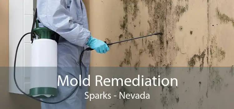 Mold Remediation Sparks - Nevada